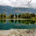 Serene mountain landscape with reflective lake and wildflowers