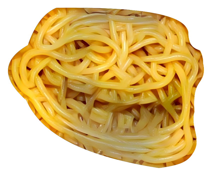 troll spaghetti