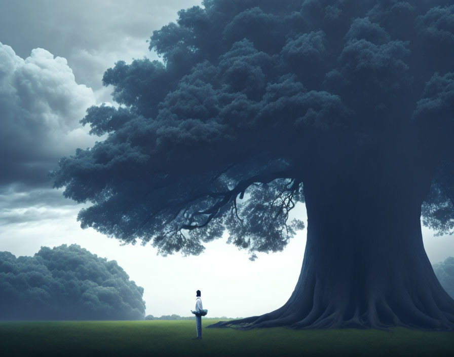 Solitary figure under expansive tree on grassy plain under moody sky