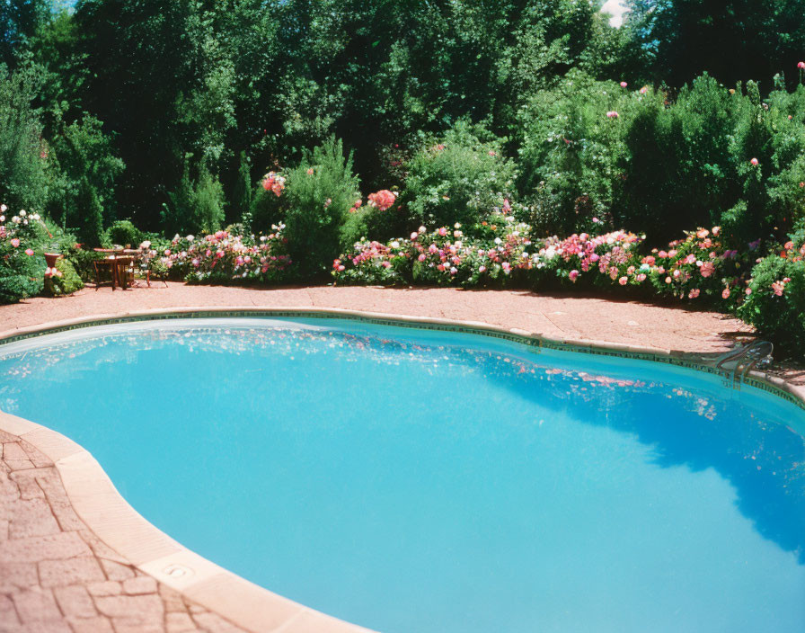 Clear Blue Water Outdoor Swimming Pool Surrounded by Lush Greenery