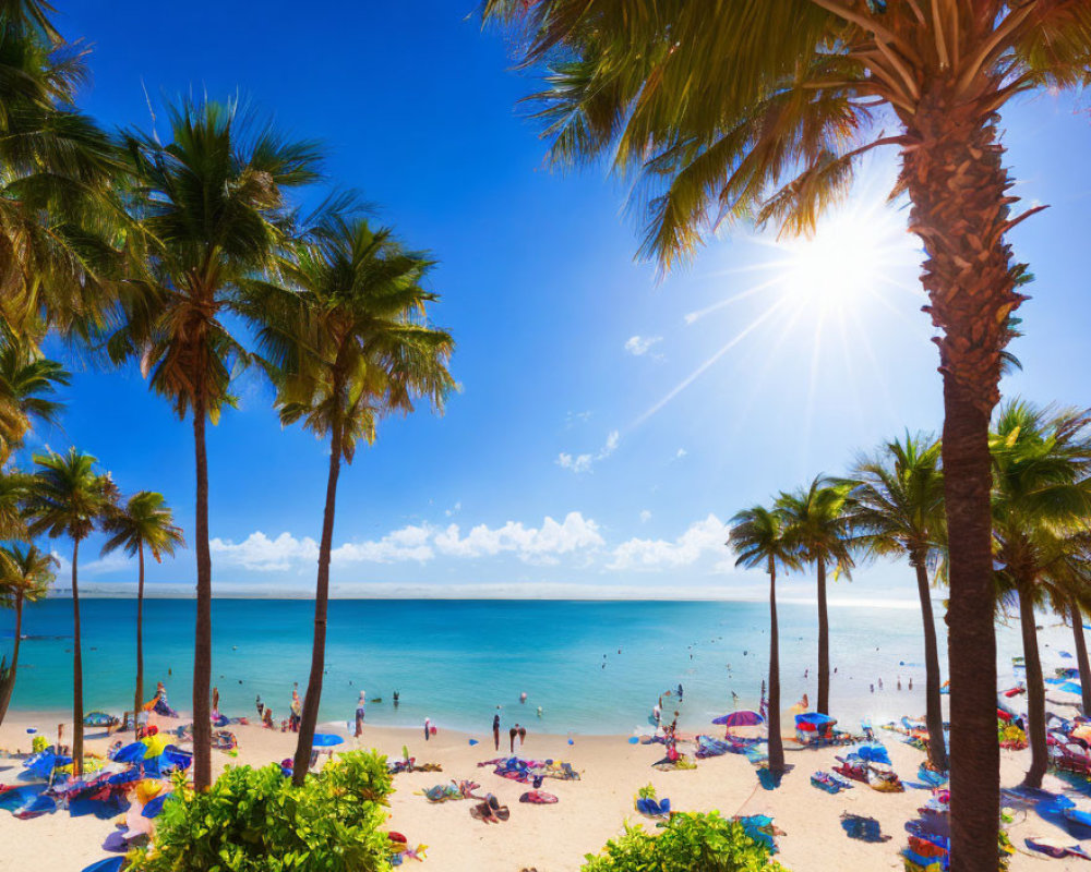 Sunny Beach Scene with Palm Trees and People Enjoying Umbrellas