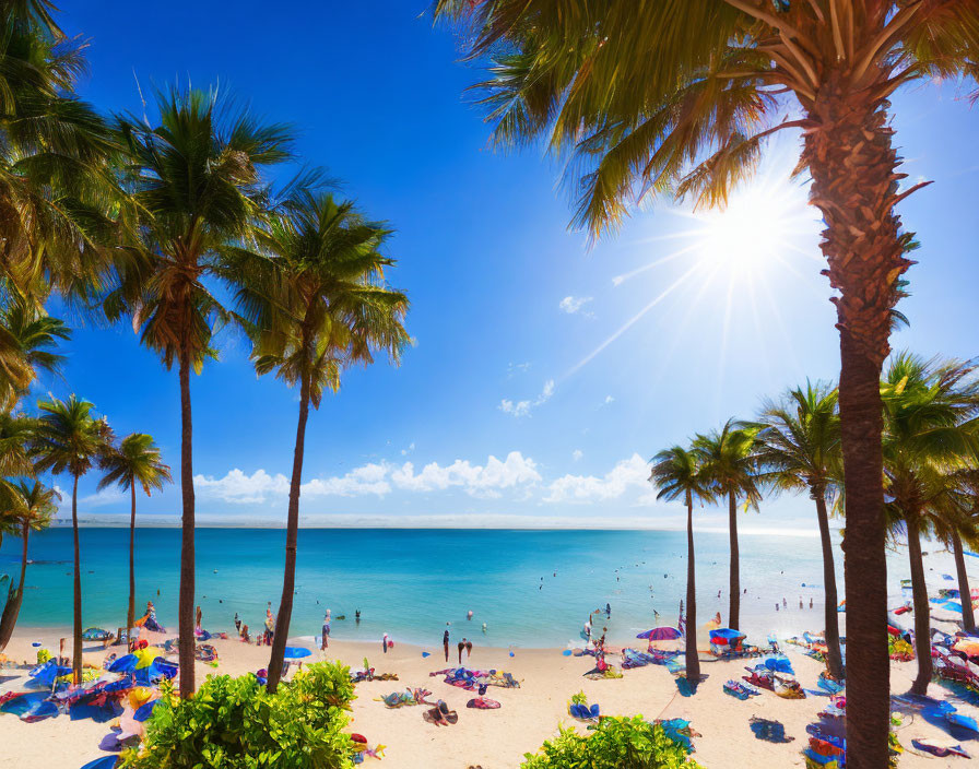 Sunny Beach Scene with Palm Trees and People Enjoying Umbrellas