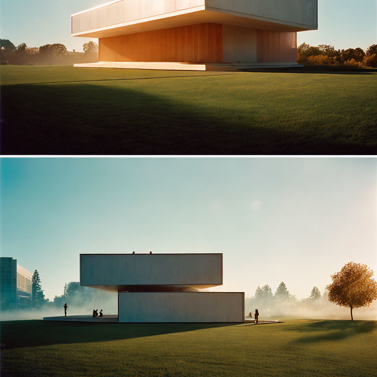 Modern building at sunrise and in fog with tree