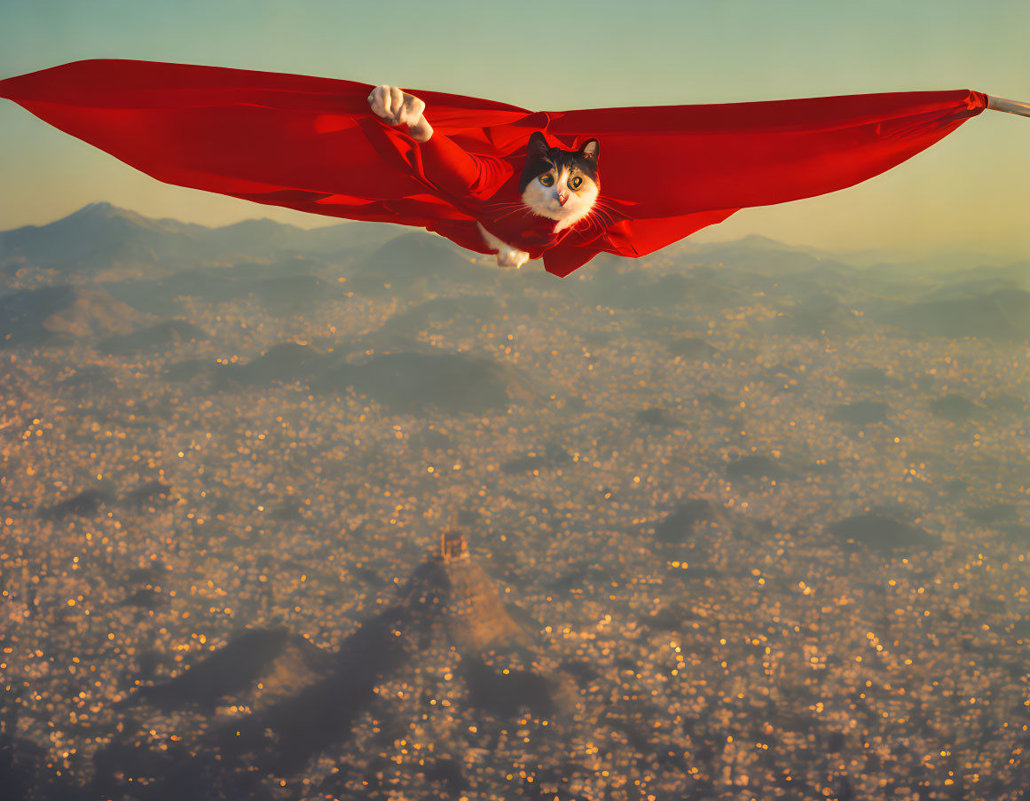 Cat with human body in superhero cape flying over golden-lit cityscape