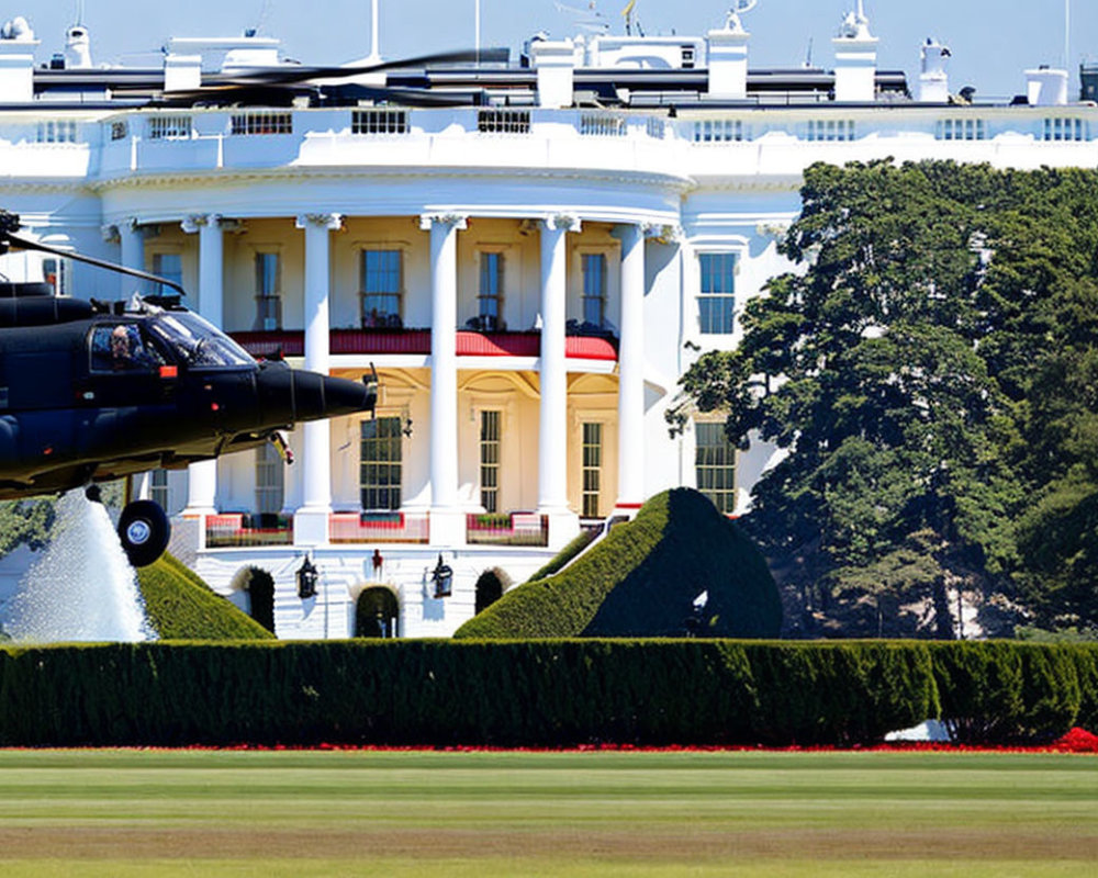 Helicopter landing in front of White House with red flowers.