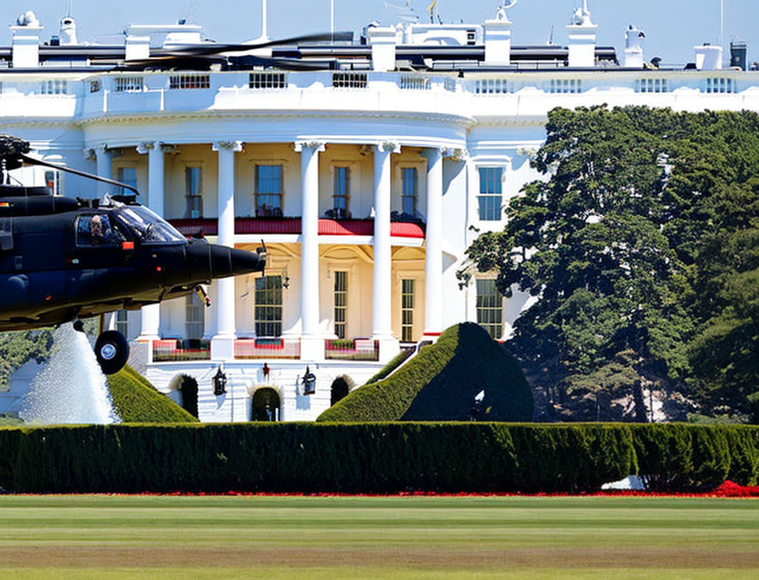 Helicopter landing in front of White House with red flowers.