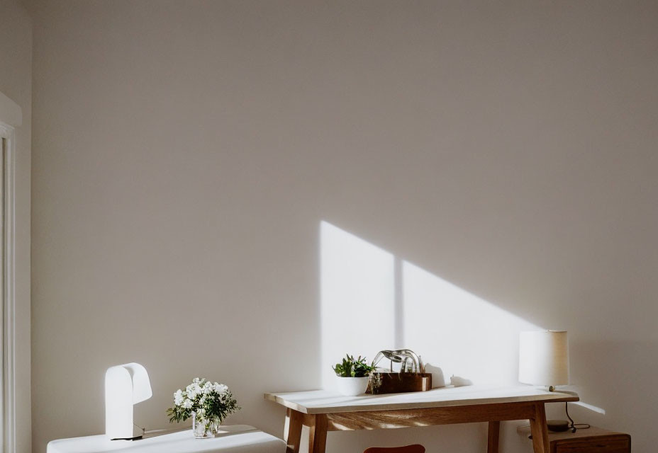 Minimalistic Room with Wooden Table, Chairs, Plants, and White Lamp in Natural Sunlight