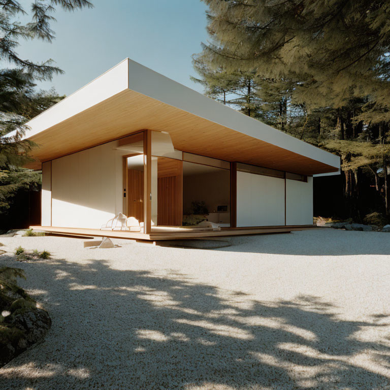 Modern House with Large Eaves, Glass Walls, Pebbled Front Yard, Pine Trees