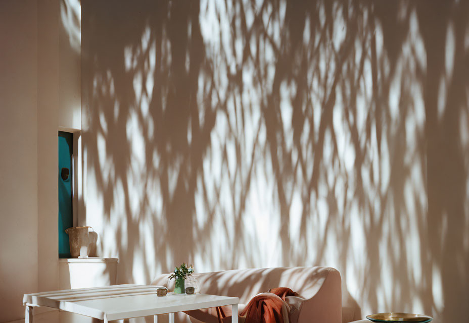 Tree shadow patterns on wall beside cozy living room setup with white sofa