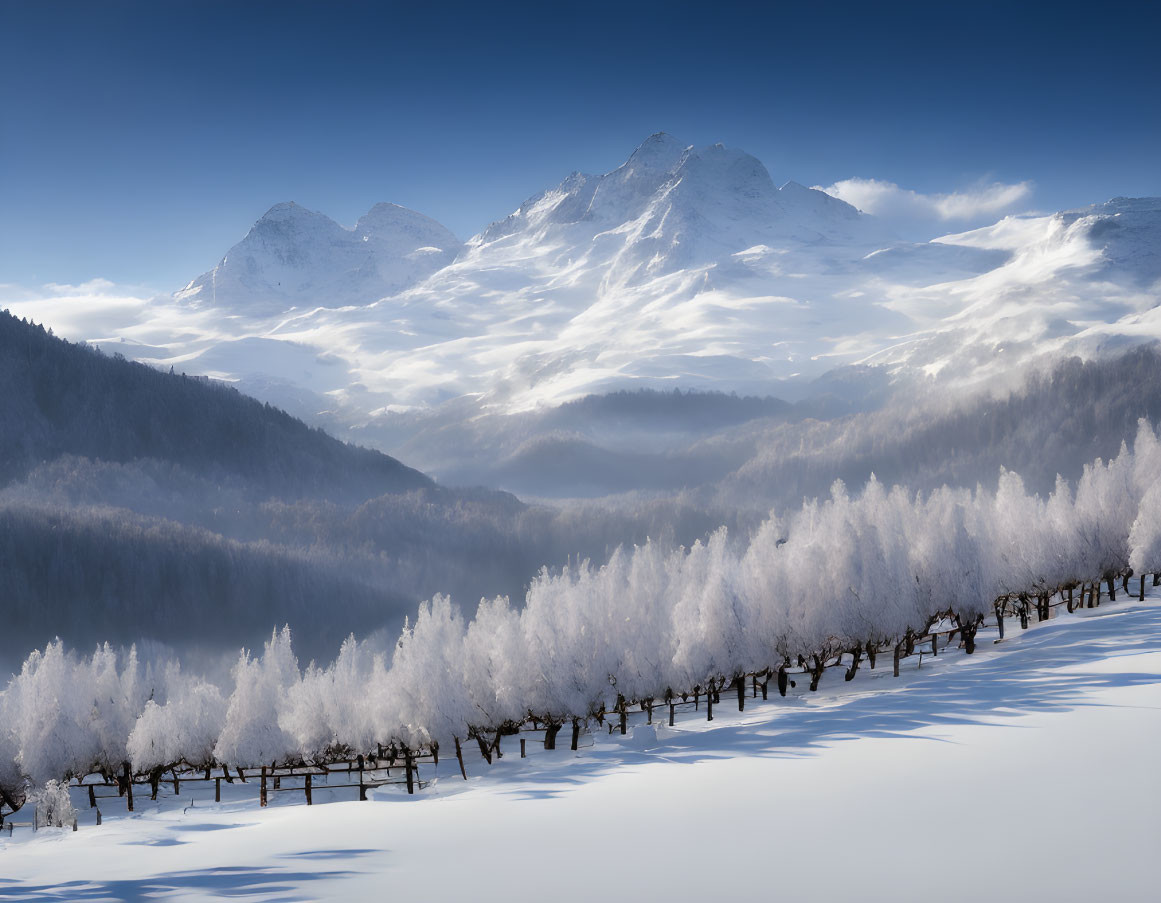 Snowy landscape with mountains, misty forest, and frost-covered trees.