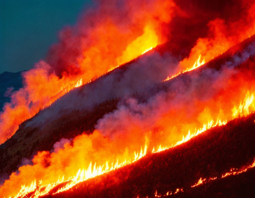 Intense wildfire consumes forested hillside