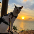 Regal Cat in Decorated Outfit Amid Fantasy Sunset Landscape