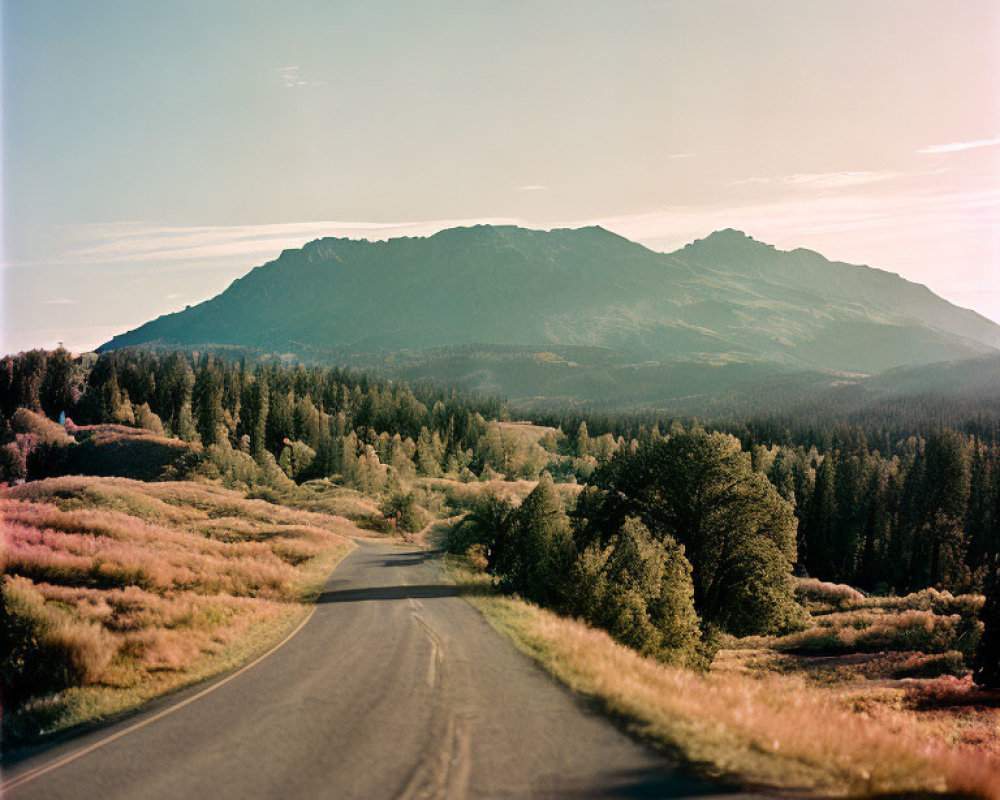 Empty road leading to lush mountain range under clear sky