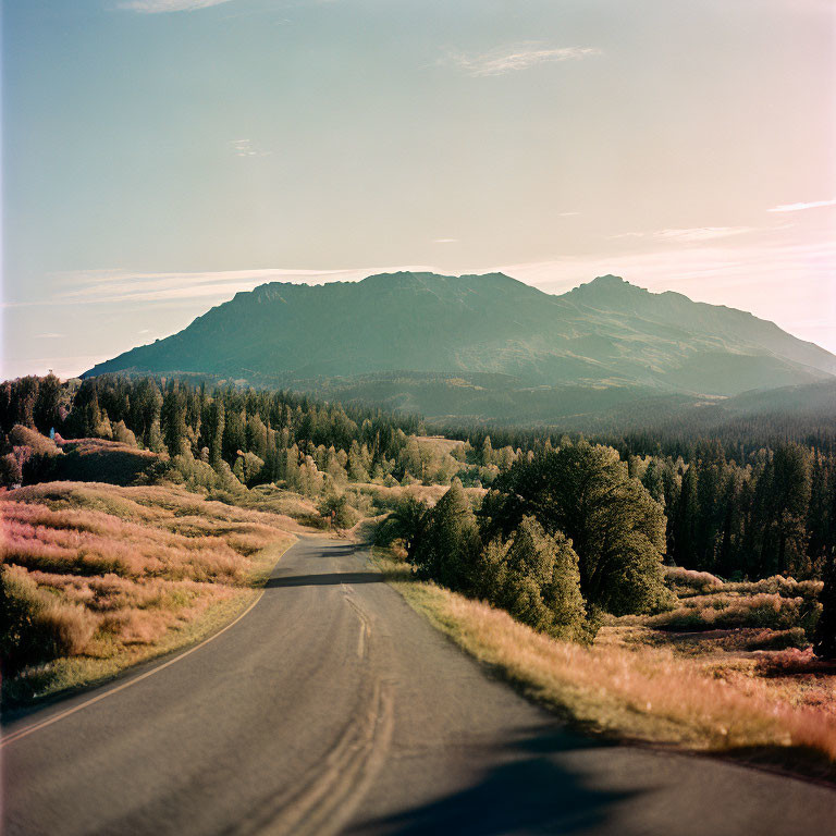 Empty road leading to lush mountain range under clear sky