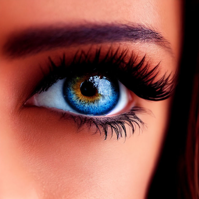 Detailed Close-up of Blue Eye with Yellow Hint and Dark Eyelashes