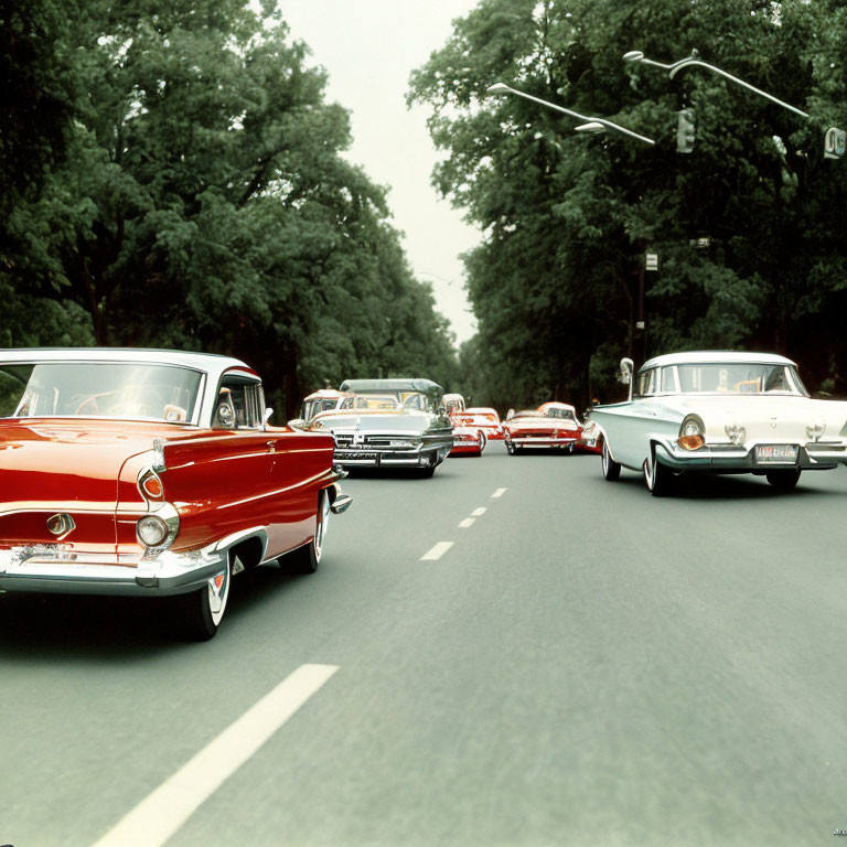 Vintage Cars Convoy on Tree-Lined Road with Traffic Light