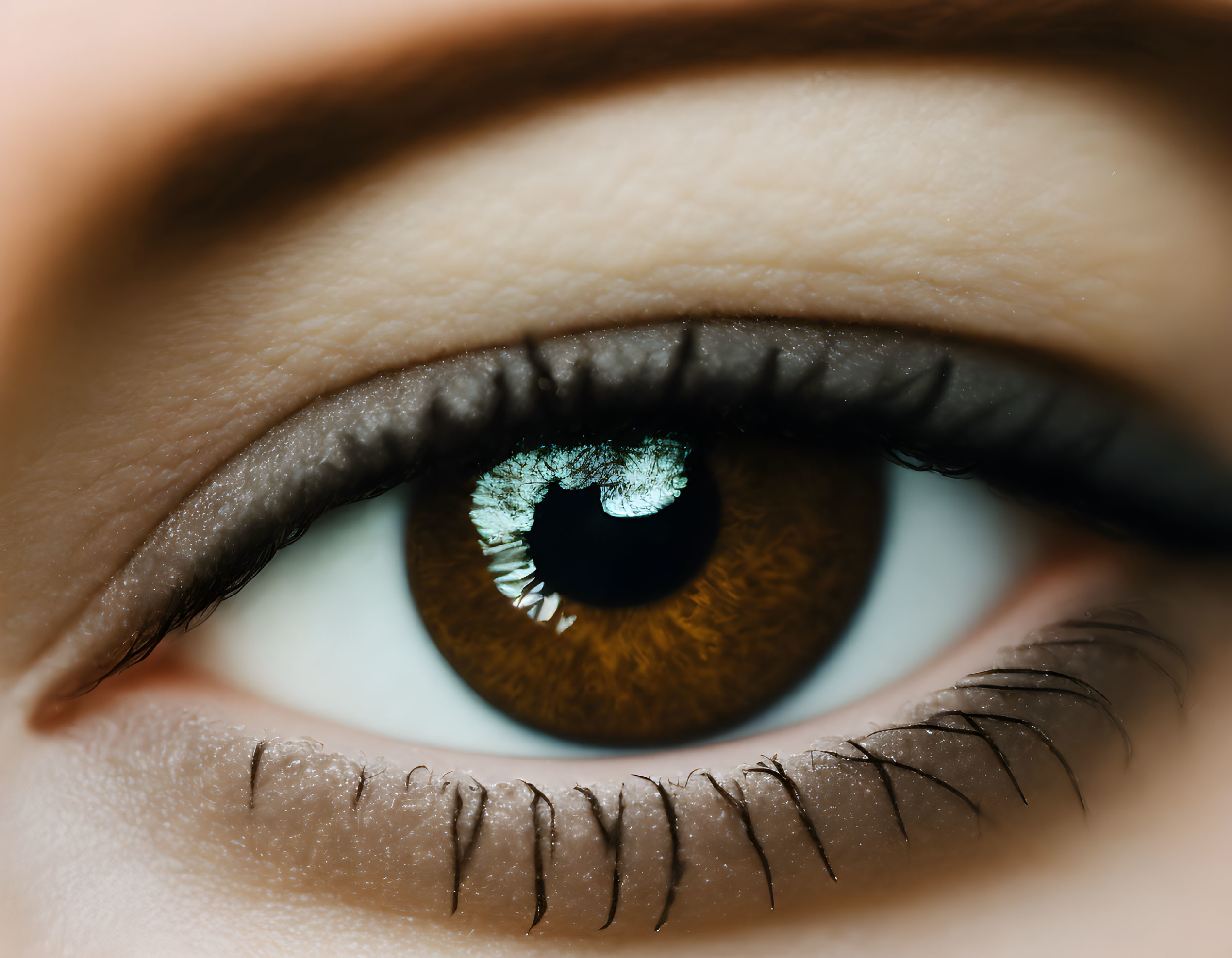 Detailed image of brown human eye with dilated pupil and eyelashes