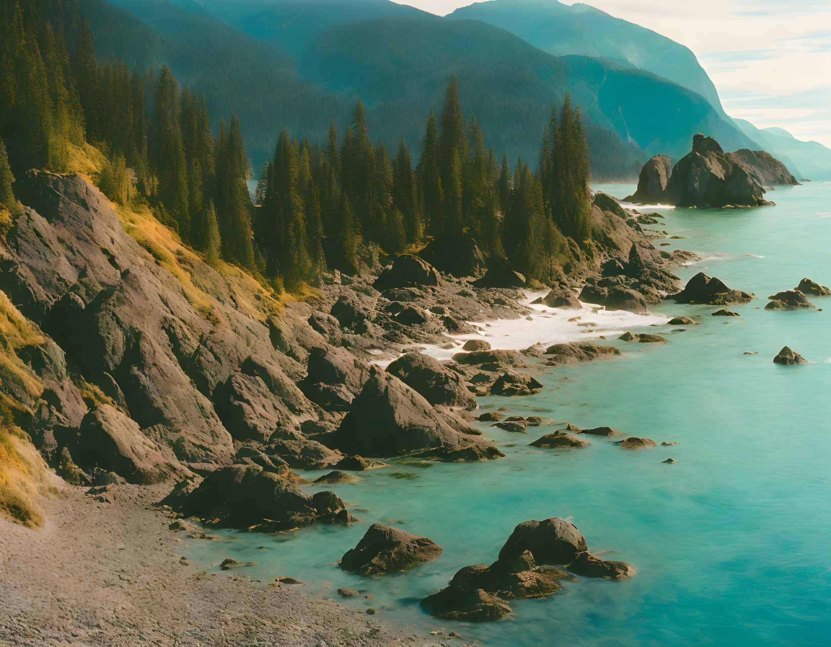 Serene rocky shoreline with evergreen trees and mountains by blue sea