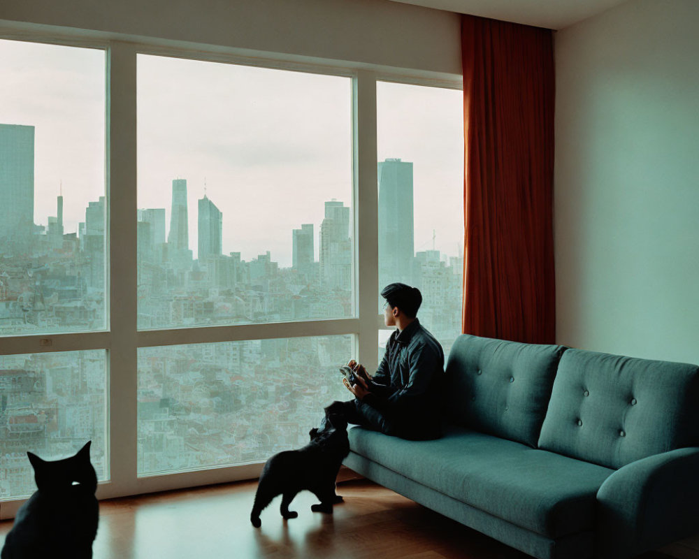 Person sitting on blue couch with city view, holding mug, black cat, and dog.