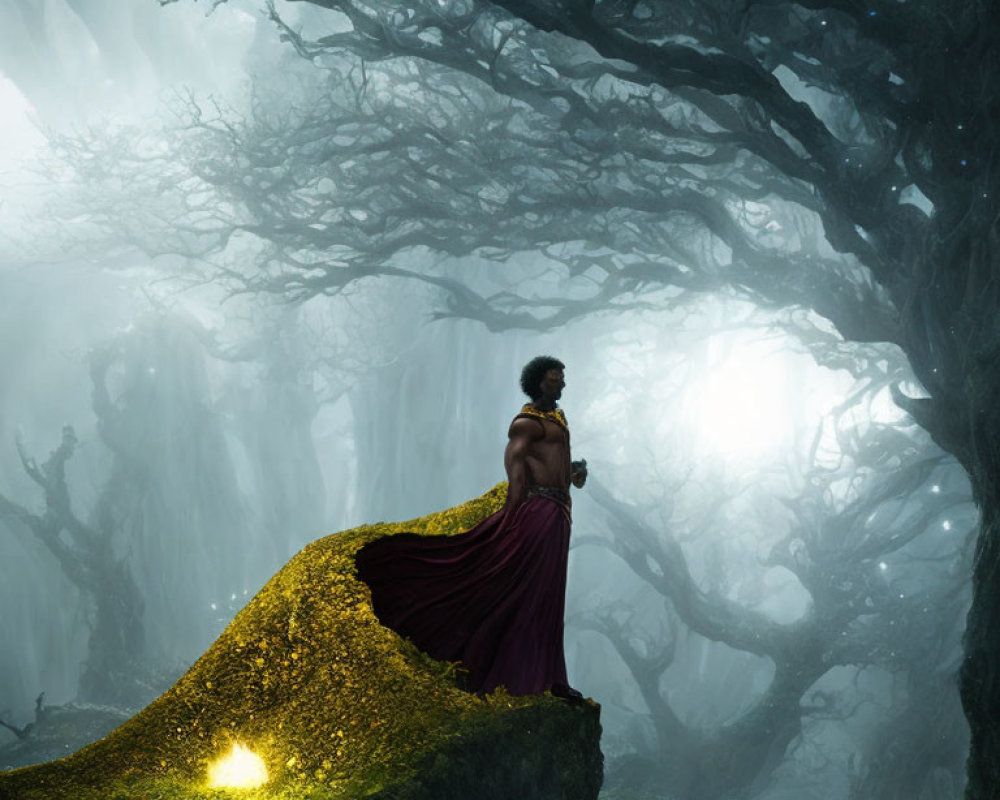 Person in red cloak in mystical forest with glowing light