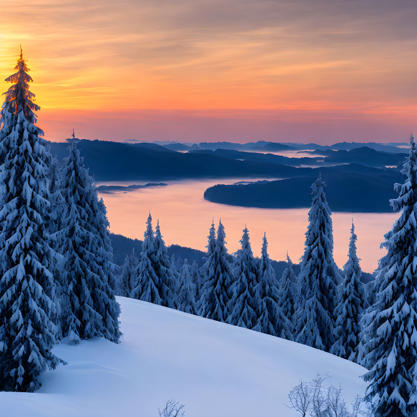 Scenic sunset view of snow-covered trees and mountains by a lake