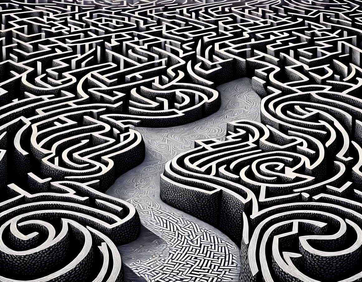 Intricate Black and White Maze-Like Pattern with Swirling Designs