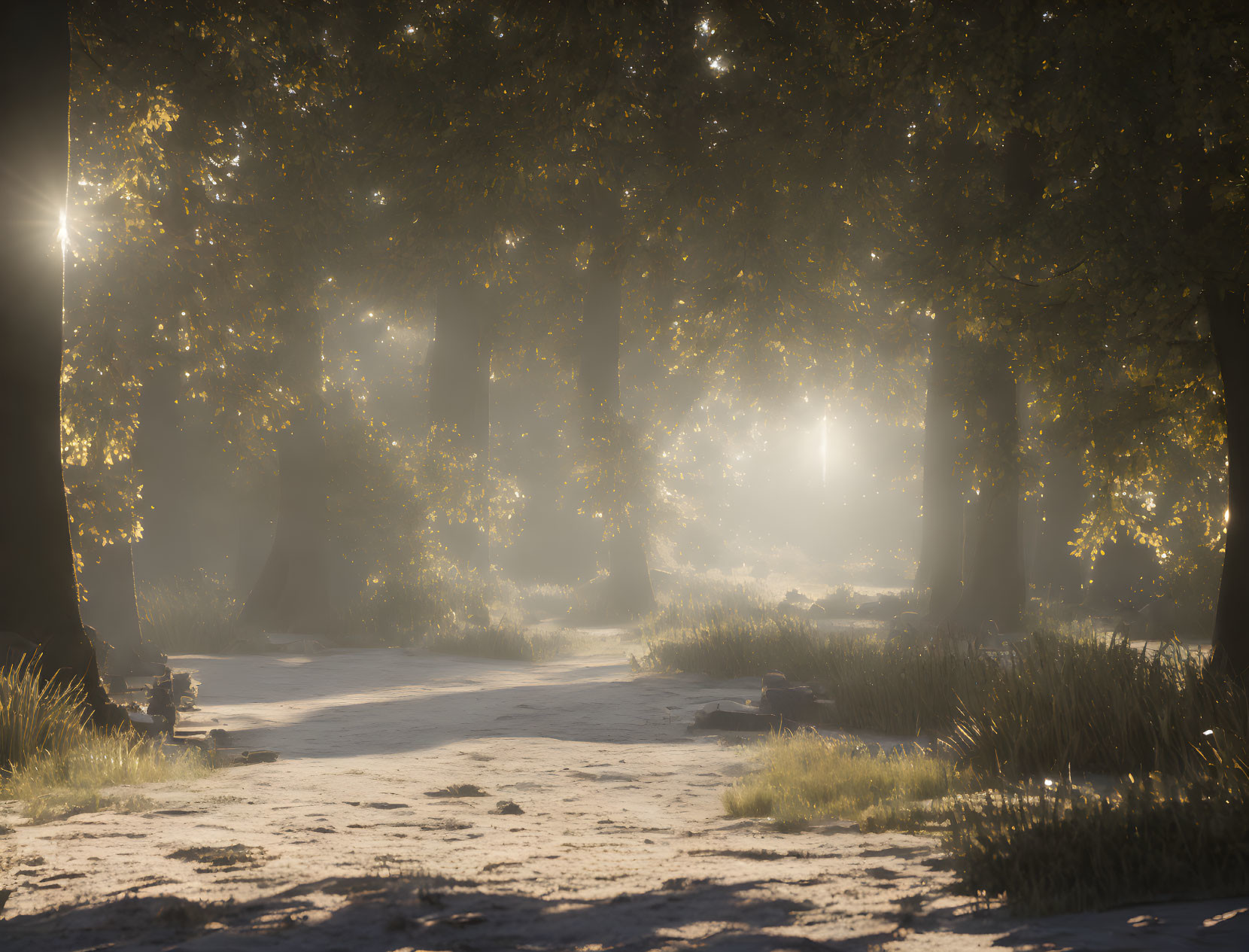 Misty forest with sunlight filtering through towering trees