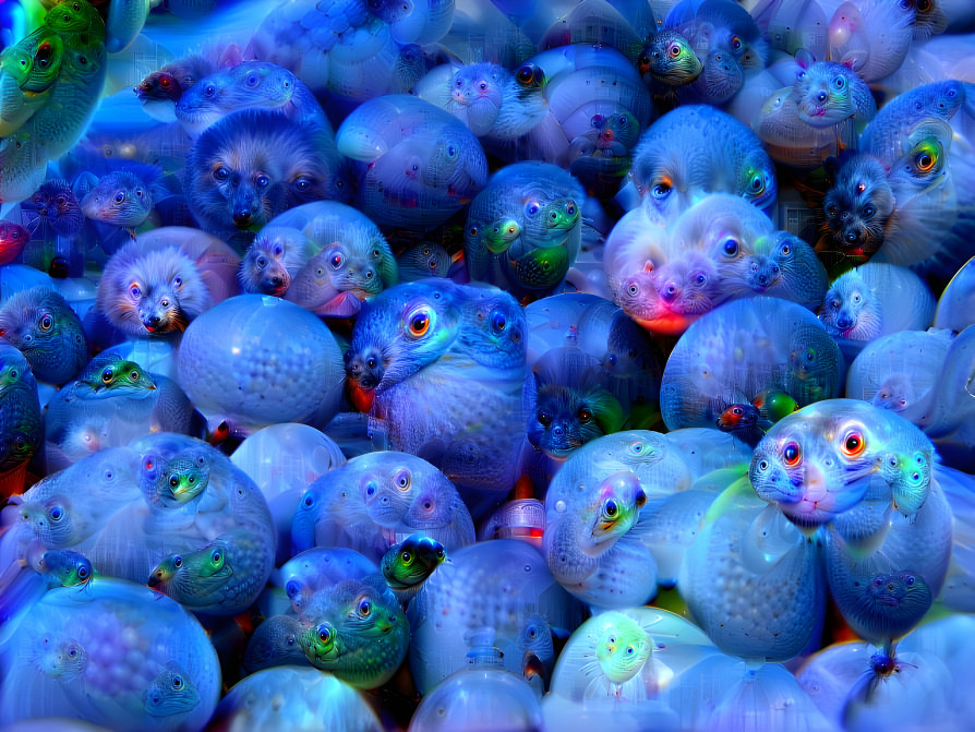 blueberrys