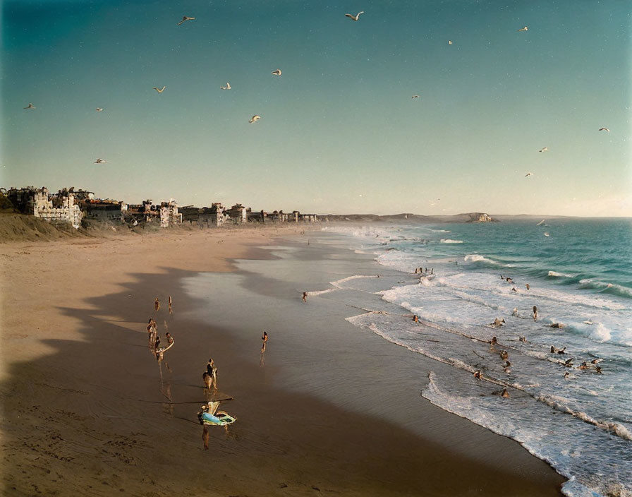 Beach scene with surfers, cityscape, and birds at golden hour