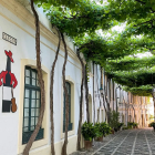 Cobblestone street with white stone walls, arched doorways, lush green vines.