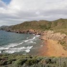 Lush Greenery, White Sand, Turquoise Water Beach Scene