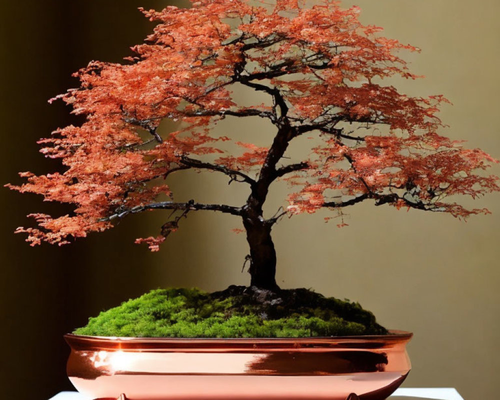 Lush Reddish Foliage Bonsai in Copper Pot on Two-Tone Backdrop