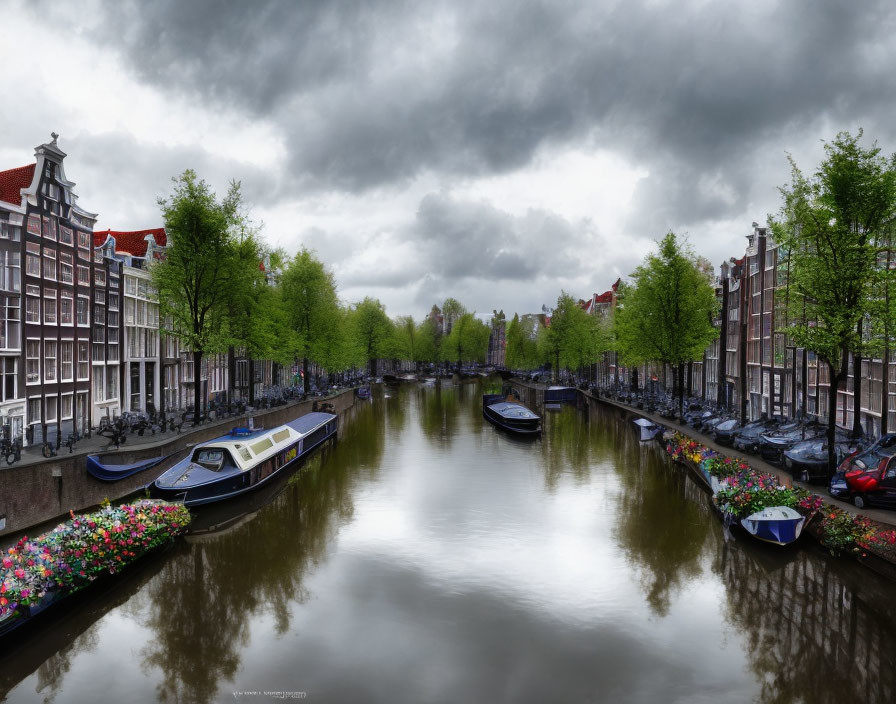 Serene Amsterdam canal with historic buildings, bikes, cars, boats, and lush green surroundings