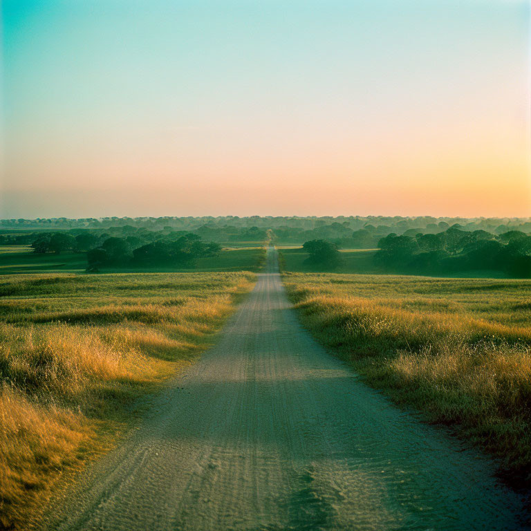 Tranquil rural road in vast fields under soft sunset sky