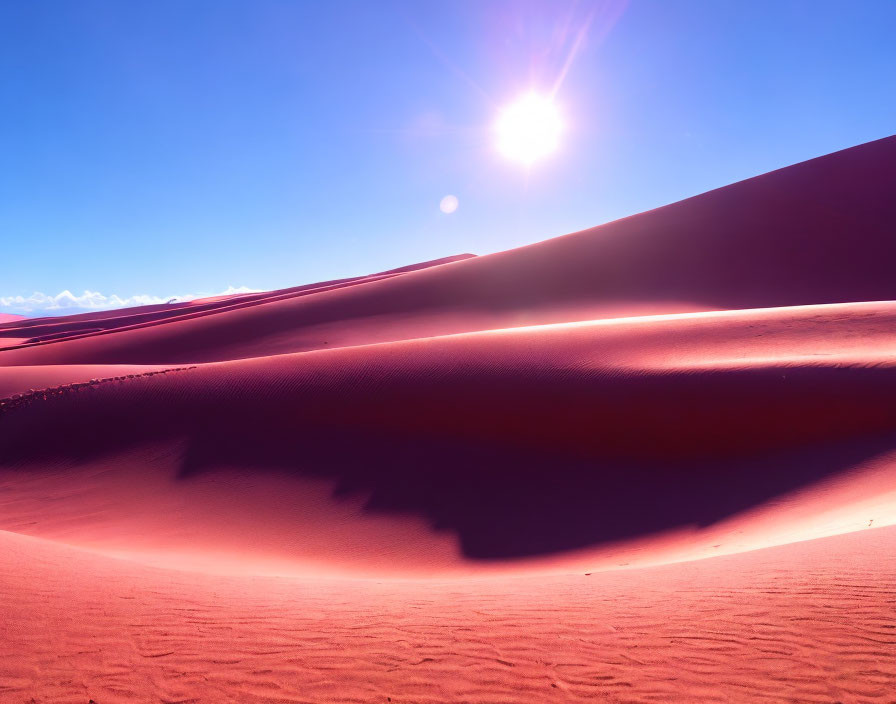 Scenic desert landscape with sunlit dunes and clear sky