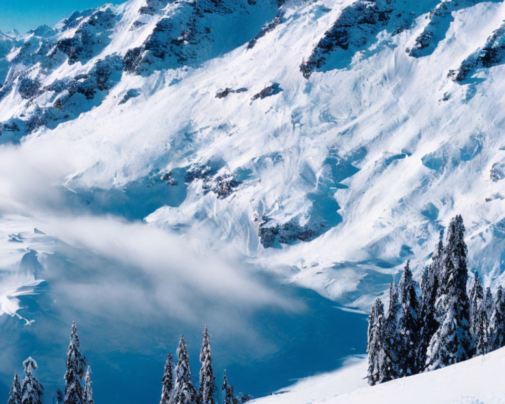 Snowy Mountain Slope with Blue and White Shades and Pine Trees in Foreground