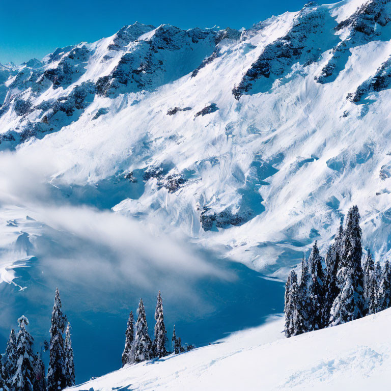 Snowy Mountain Slope with Blue and White Shades and Pine Trees in Foreground