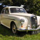 Rusty cream and brown car abandoned in grassy field with vintage parts