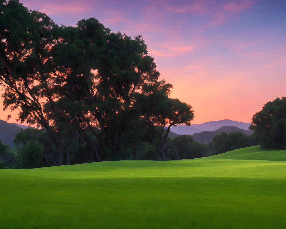 Tranquil Twilight Landscape with Silhouetted Trees