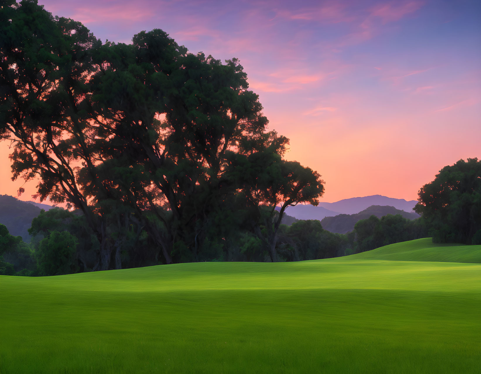 Tranquil Twilight Landscape with Silhouetted Trees