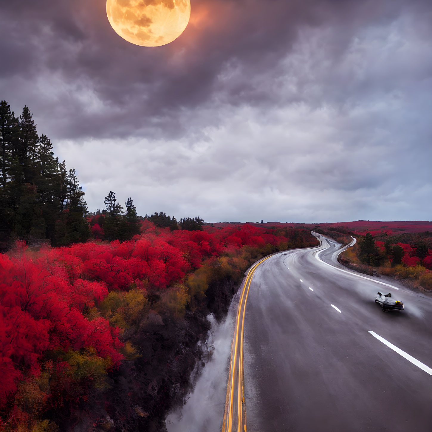 Curving Road Car Drive in Red Foliage Moonlit Sky