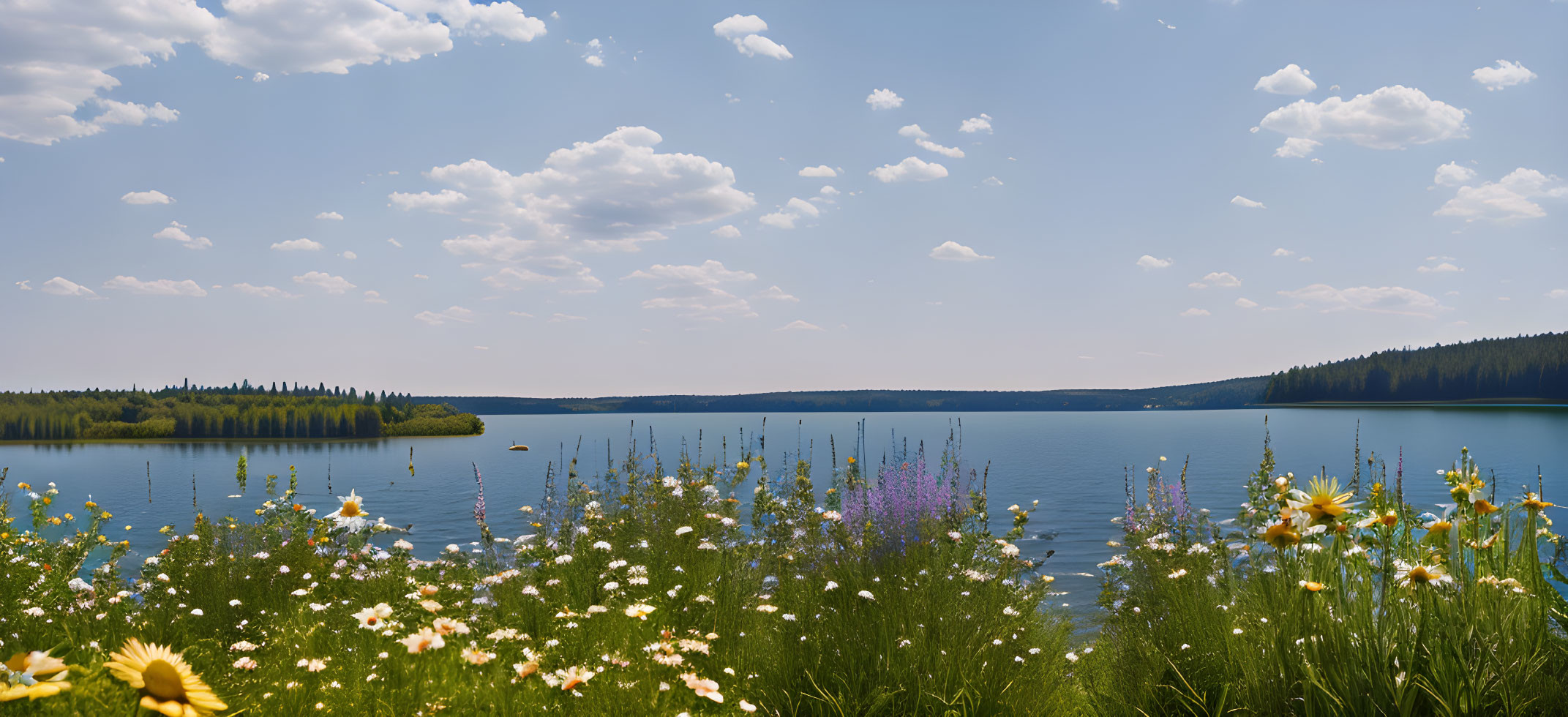 Tranquil lake scene with wildflowers, forest, and blue sky