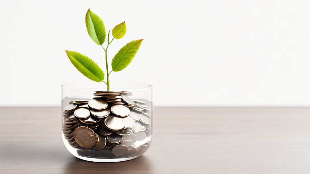 Green leaf plant in glass jar with coins symbolizes financial growth