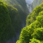 Scenic lush green valley with misty cliffs in soft light