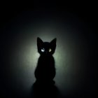 Black Cat with Glowing Eyes in Soft Backlight on Dark Background