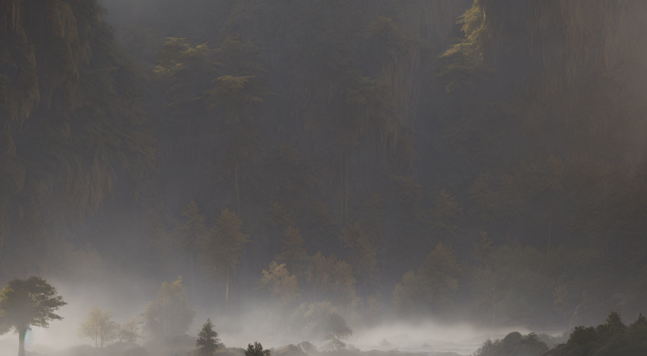 Foggy forest dawn with sunbeams and rocky cliffs