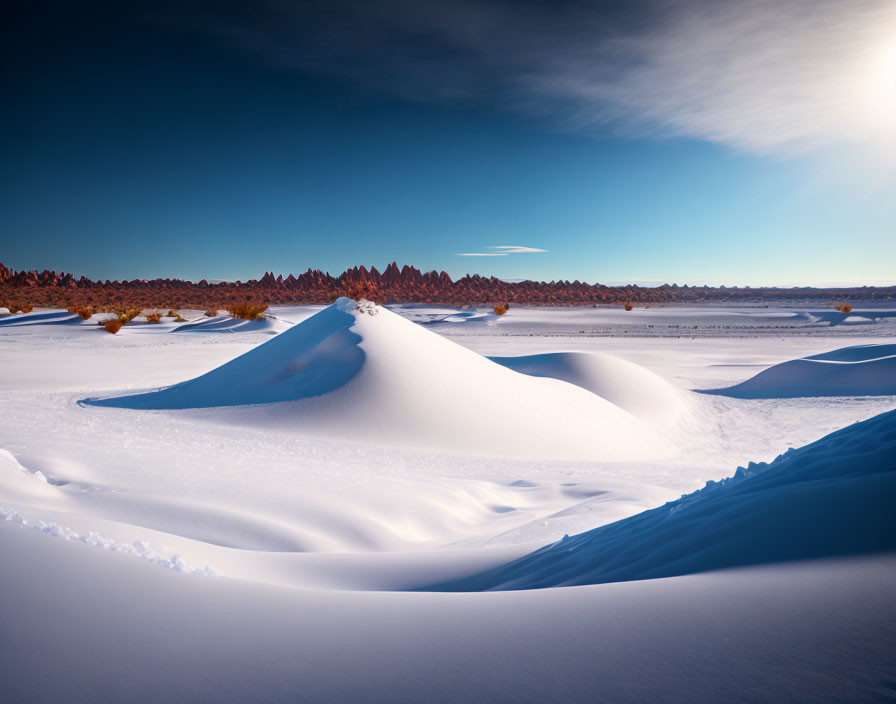 Winter Scene: Snowy Sand Dunes and Evergreen Trees