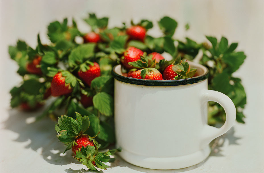 Enamel mug with fresh strawberries and leaves on light background