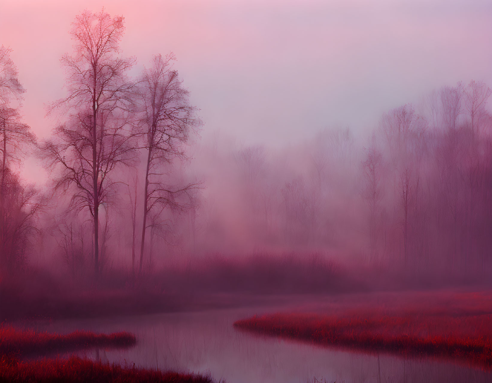 Tranquil dusk landscape with silhouetted trees and pink-hued sky