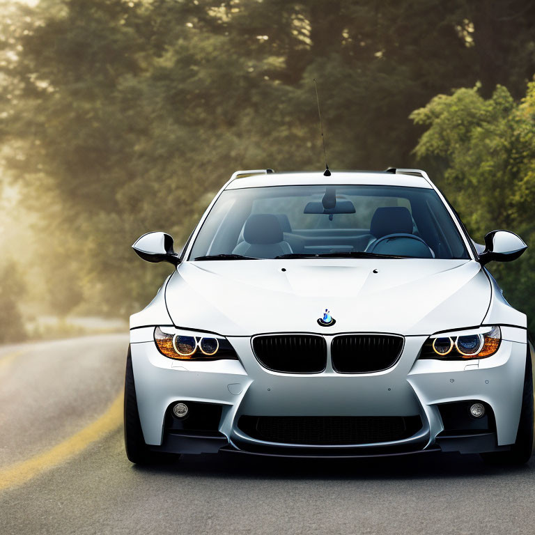 Silver BMW 3 Series Car with Twin Headlights and Kidney Grille on Misty Road